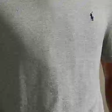 Polo Ralph Lauren T