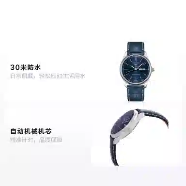 LONGINES 30 40mm L2.910.4.92.0