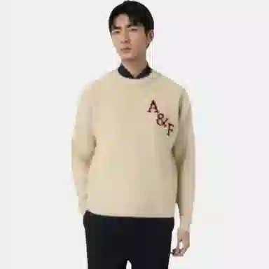 Abercrombie & Fitch Letter Logo Crewneck Sweater