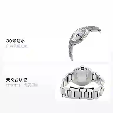 CARTIER 42mm WSBB0049