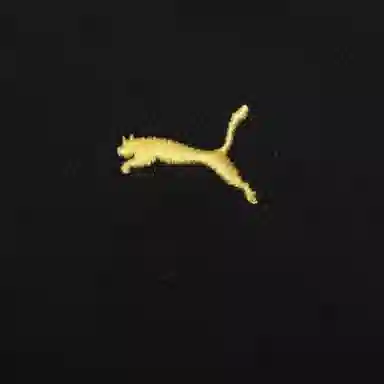 PUMA RACING CARNIVAL T