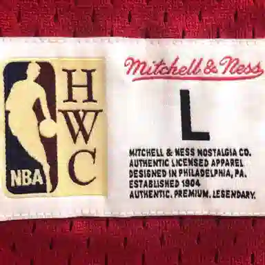Mitchell Ness 76 T