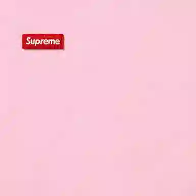 Supreme Small Box Zip Up Hooded Sweatshirt