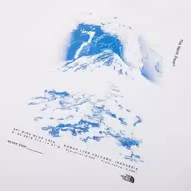 THE NORTH FACE UE logoT