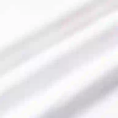 GUCCI x adidas originals LogoT