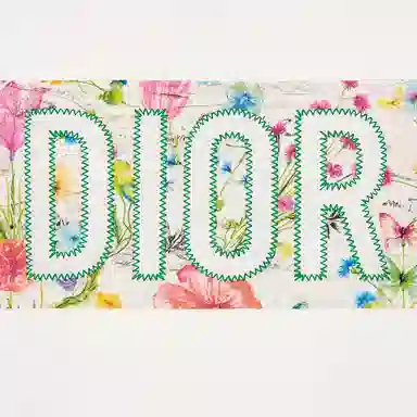 DIOR FW22 Logo