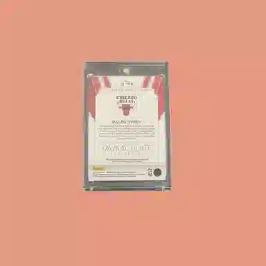 PANINI 2022-23 Imm 0925 patch RC