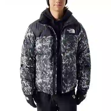 The North Face Novelty Nuptse