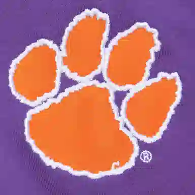 Mitchell Ness x NCAA Clemson Tigers Jacquard Ringer T