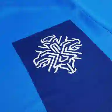 PUMA Iceland Home 22/23 Replica Jersey