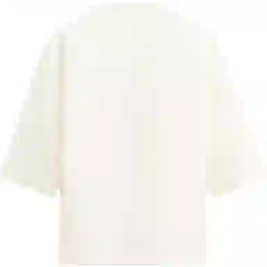 ZARA Polo