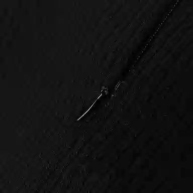 Alexander McQueen FW21