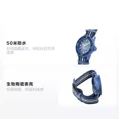 Swatch SO35A100
