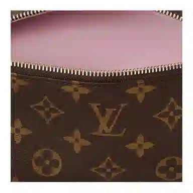 LOUIS VUITTON Bloom Pouch Monogram
