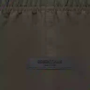 Fear of God Essentials FW22 Off Black Shorts