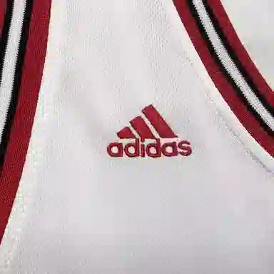 adidas x NBA ROSE 1 SWINGMAN