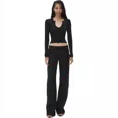 alexander wang FW24 V T