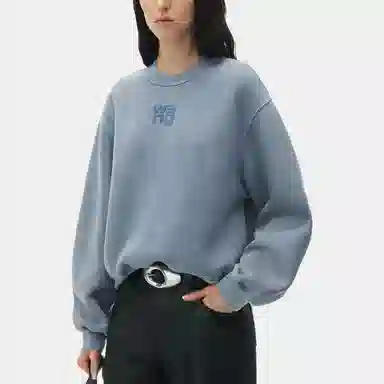 Alexander Wang Essential Sweatshirt Light Blue