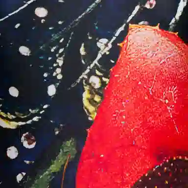 Alexander McQueen SS23