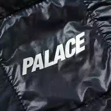 PALACE FW25 DROP2 PERTEX NET PLUS MICROLITE JACKET logo