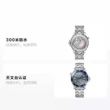 OMEGA Seamaster 210.30.42.20.06.001 Silver