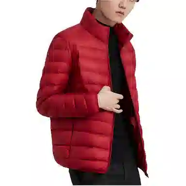 鸭鸭 纯色立领拉链休闲薄款羽绒服 男款