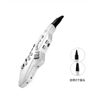 Roland AE05C" Aerophone