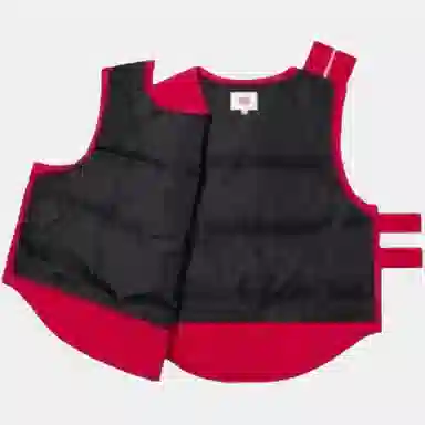 Supreme x WTAPS FW21 Tactical Down Vest