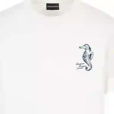 EMPORIO ARMANI SS25 T