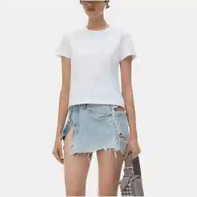 alexander wang FW24 T