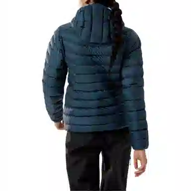 Arcteryx Cerium LT 850logo