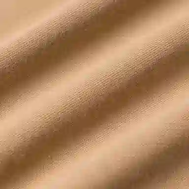 Polo Ralph Lauren FW24 T