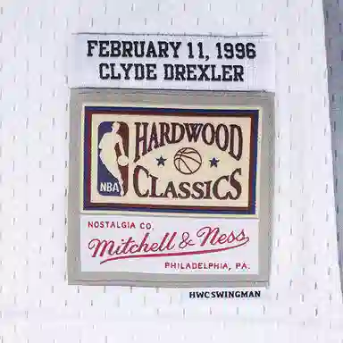 Mitchell Ness SW 96 22
