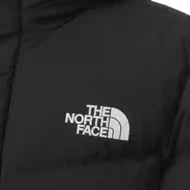 The North Face Logo Hoodie Down Coat Black