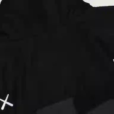 THE NORTH FACE TNF x KAWS FW22 1995 Denali Logo