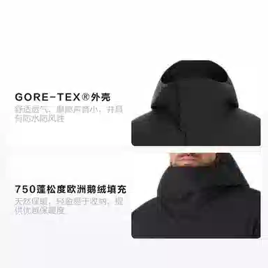 Arcteryx Therme Parka