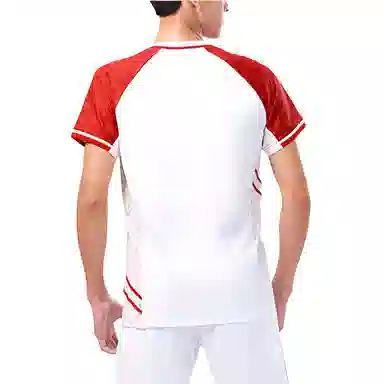 VICTOR V T