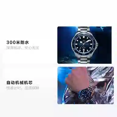 Sea-Gull Pro300 816.32.1210