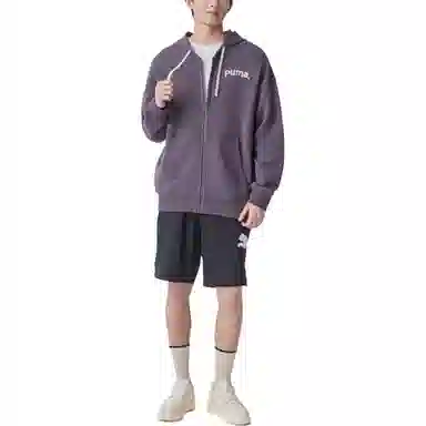 PUMA TEAM FZ HOODIE