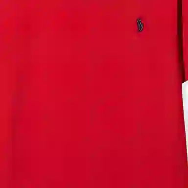 Polo Ralph Lauren SS22 T