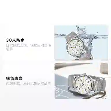 Dickies Quartz Watch Silver Dial