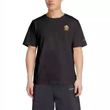 adidas Terrex POLYGIENE GRAPHIC T