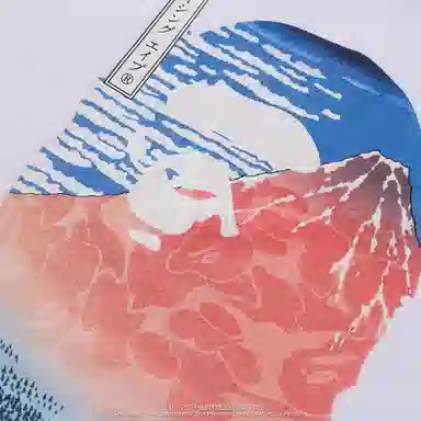 A BATHING APE x UKIYO-E UKIYO-E FW25 T