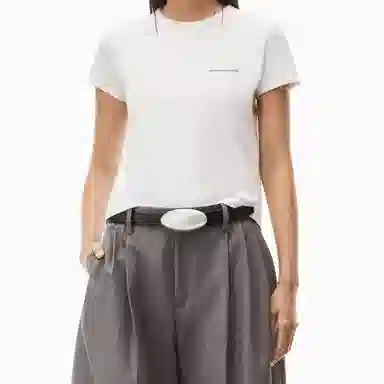 alexander wang FW22 T