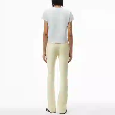 alexander wang FW21 LogoT