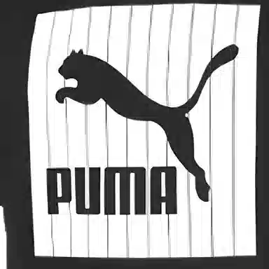 Puma logoT