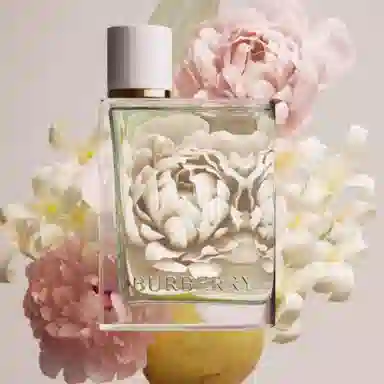 Burberry EDT 50ml+10ml100ml+10ml*2