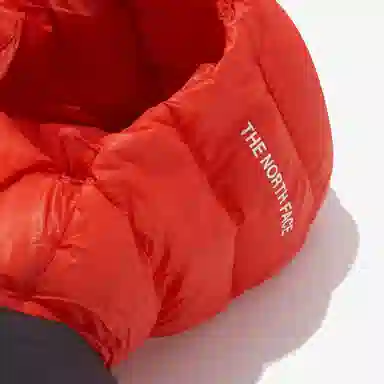 THE NORTH FACE Baruntse Down Jacket Logo