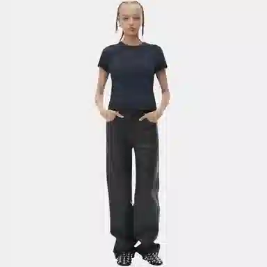 alexander wang FW24T