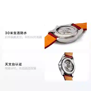 LONGINES 34mm L2.409.4.87.2